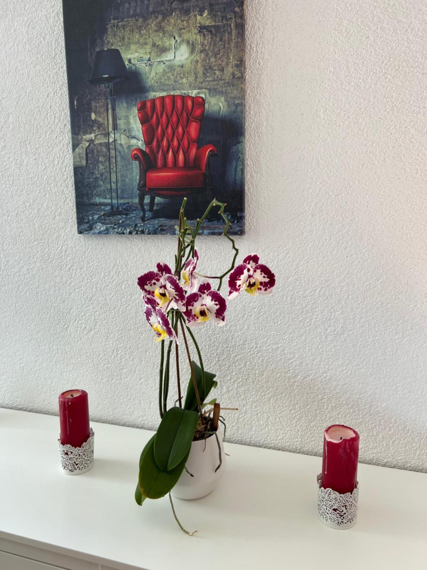 Apartment Peter Interlaken Dış mekan fotoğraf
